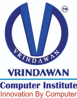 v computer institute logo 3