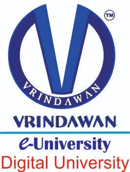 v e-university logo 2