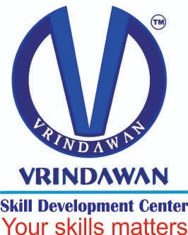 v skill logo 1