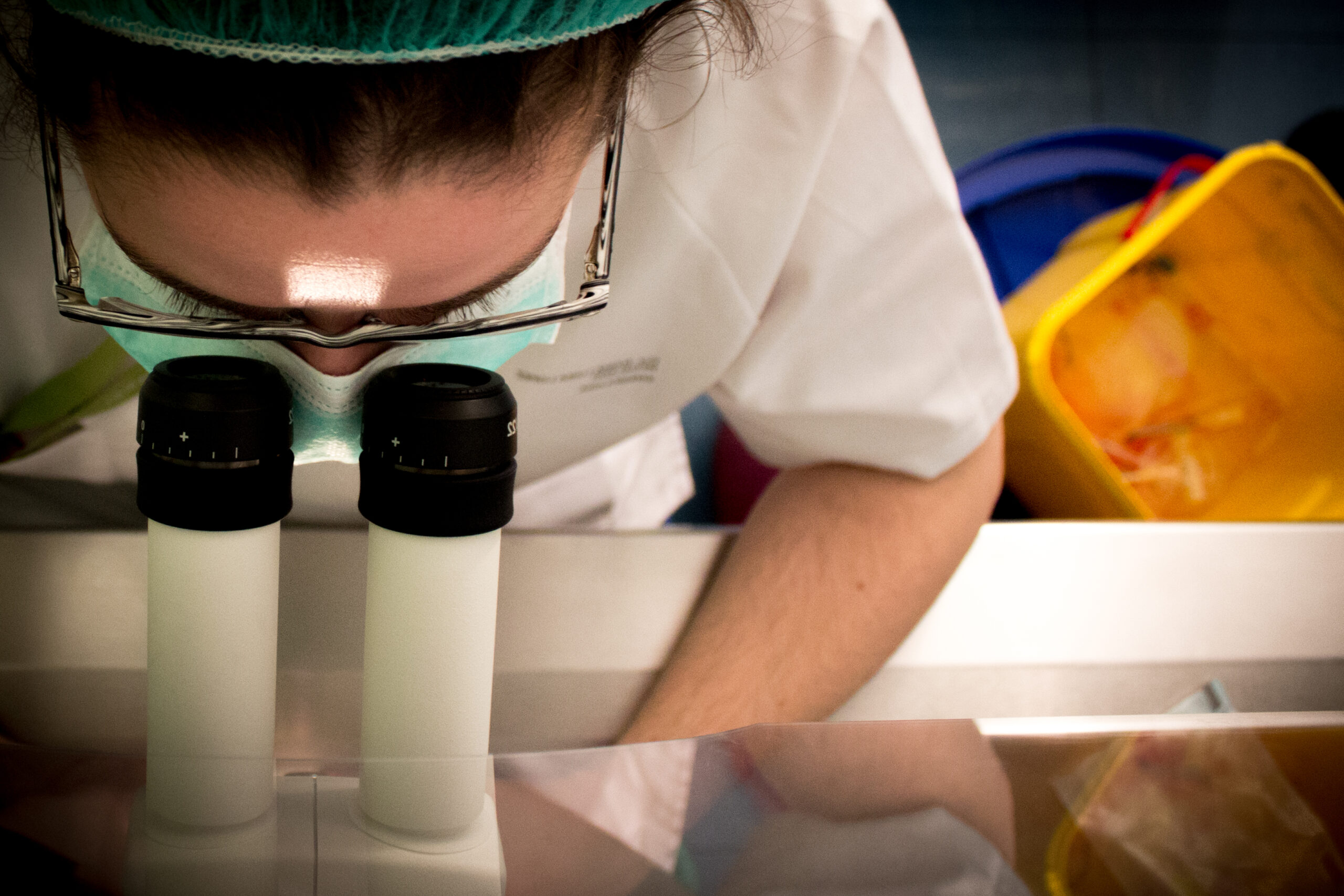 Powder Bed Monitoring in AML